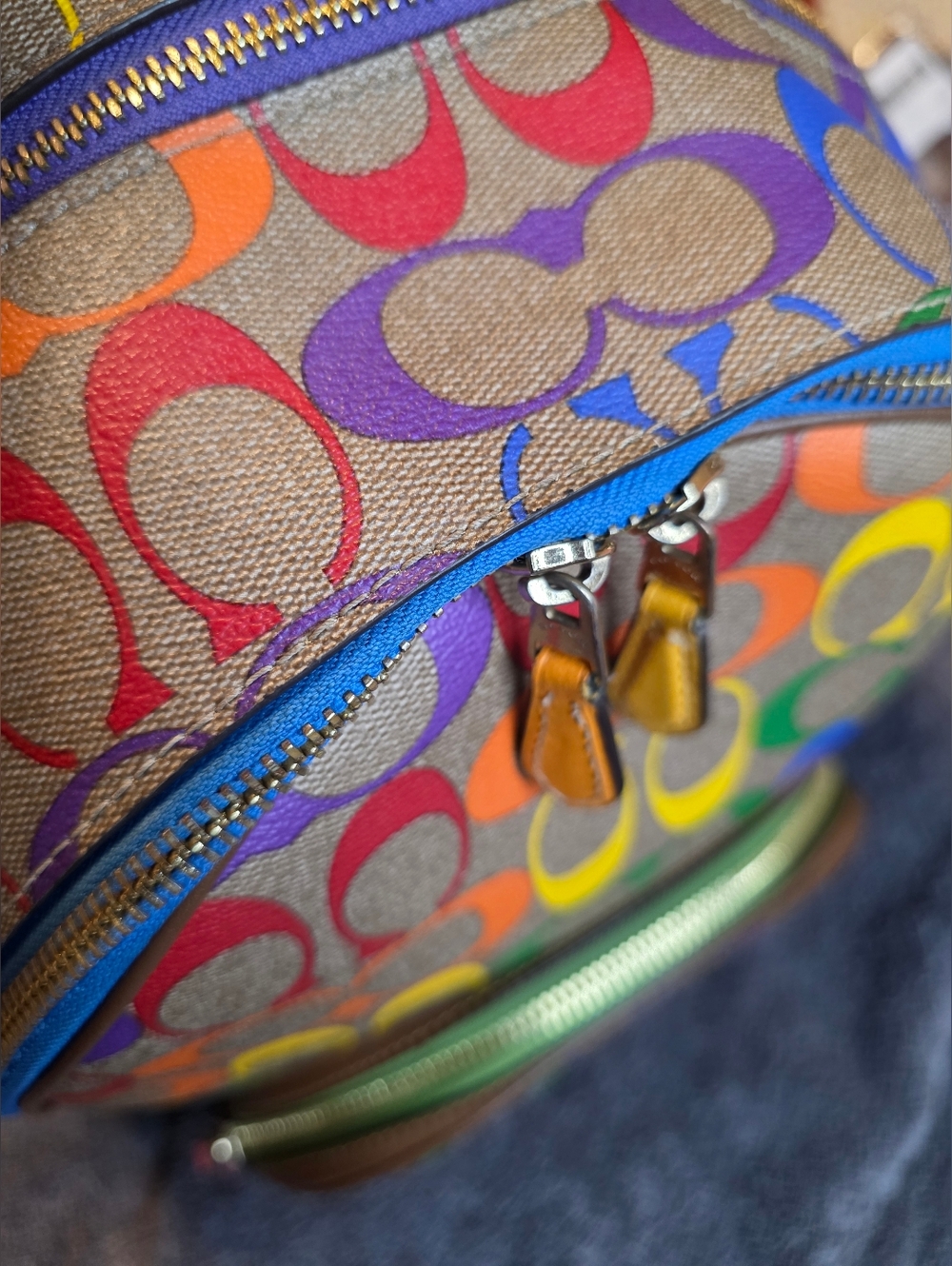 Coach Rainbow Signature Backpack - Multicolor - Picture 8 of 14